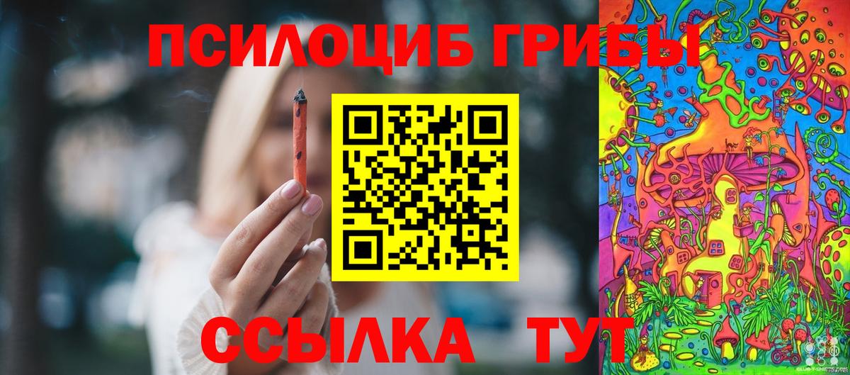 Галлюциногенные грибы ЛСД  даркнет сайт  Кольчугино  Вход с VPN 