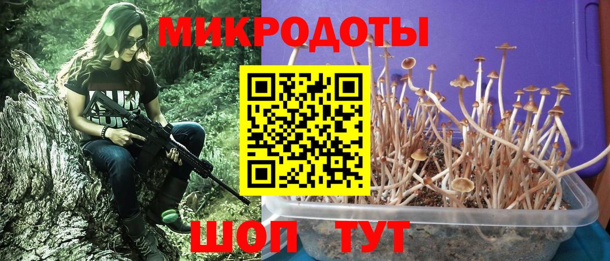 Псилоцибиновые грибы ЛСД Кольчугино